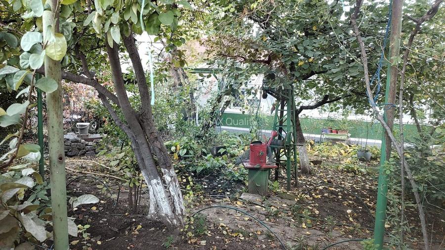 Teren Intravilan 580mp unic pe Strada Dantelei - 8