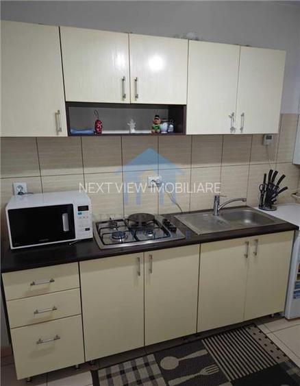 Apartament 1 camera, Central - 3