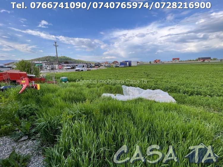 Terenuri, Balesti (3404mp), Slobozia (250mp-500mp) - 4