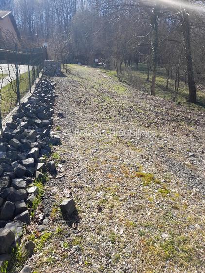 Spre vanzare cabana+ teren intravilan 1050mp pretabil casa de vacanta/locuinta - 16