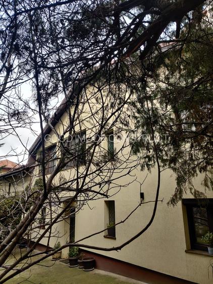 Vilă interbelică și teren 684 mp zona Viilor/Parcul Carol - 17