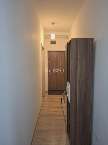 Apartament modern 2 camere de inchiriat – Deventer / Tineretului - 8