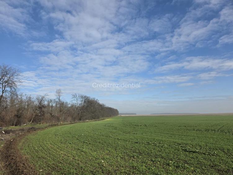 FUNDENi-Oportunitate Majoră de Investiție: 92 286mp - PRET IMBATABIL! - 2