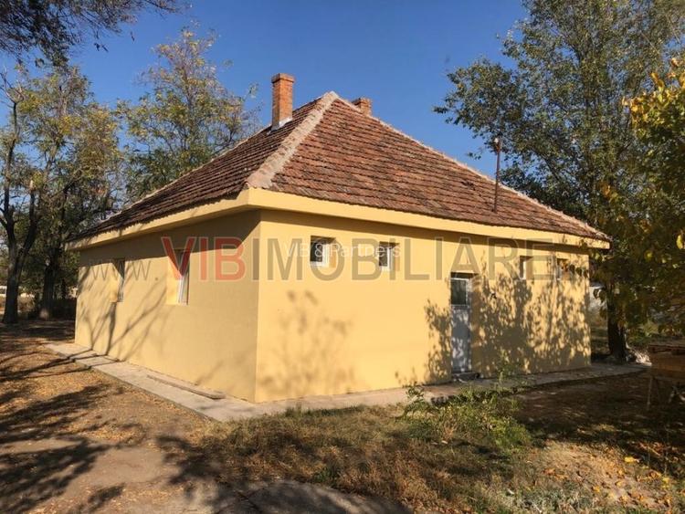 Ferma complet utilată – 30 ha teren comasat cu 11.500mp grajduri renovate Timiș - 16
