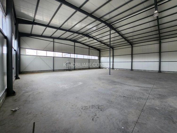 Pantelimon hala noua 500 mp - 7