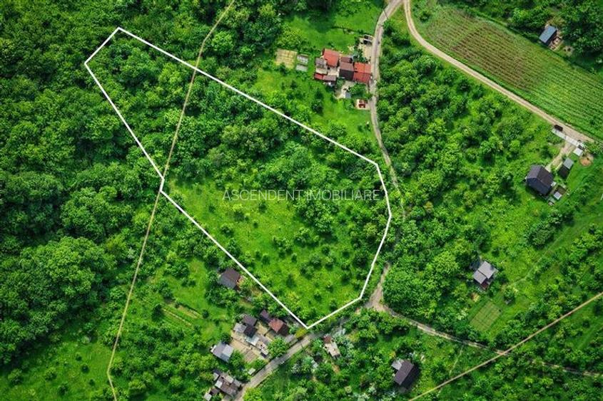 11.600mp teren, partial extravilan,Valea Mare Pravat, 2 km de Campulung Muscel - 2
