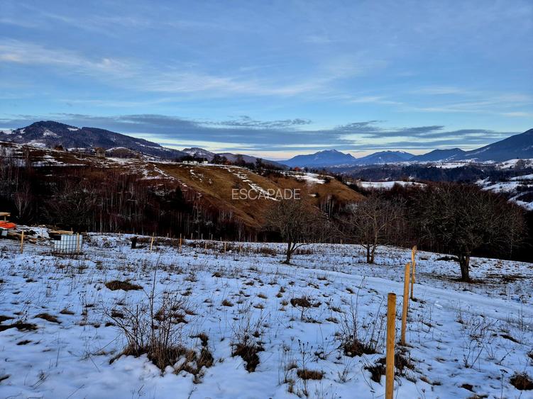 Sat Peștera – Moeciu | Vedere panoramică Bucegi & Piatra Craiului - 7