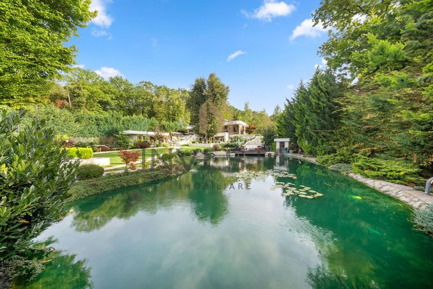 Refugiu Privat: Vila Modernă cu Facilitați de Lux în Cluj-Napoca! - 2