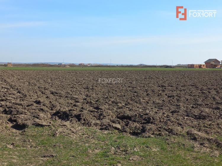 Teren intravilan – oportunitate investitie – Remetea Mare, langa Bega - 2