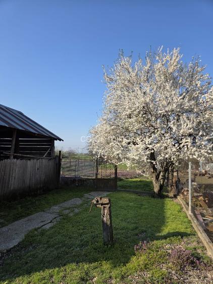 Tartasesti – casa si teren 2.000 mp de vanzare - 4