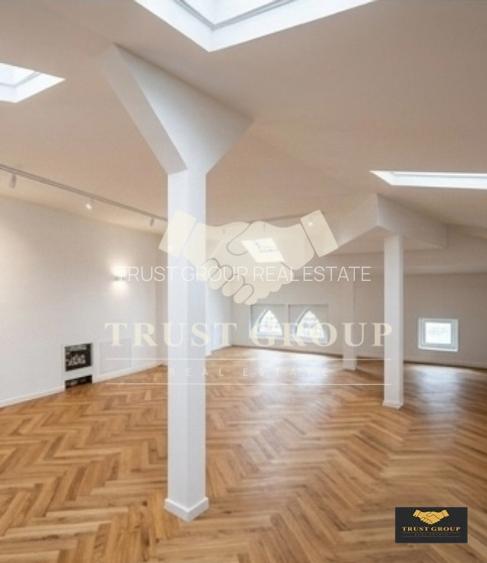 Casa individuala Gradina Icoanei | 2 Locuri Parcare | 253 mp curte libera  - 3