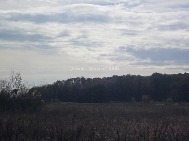 Domnesti-Teghes - 10