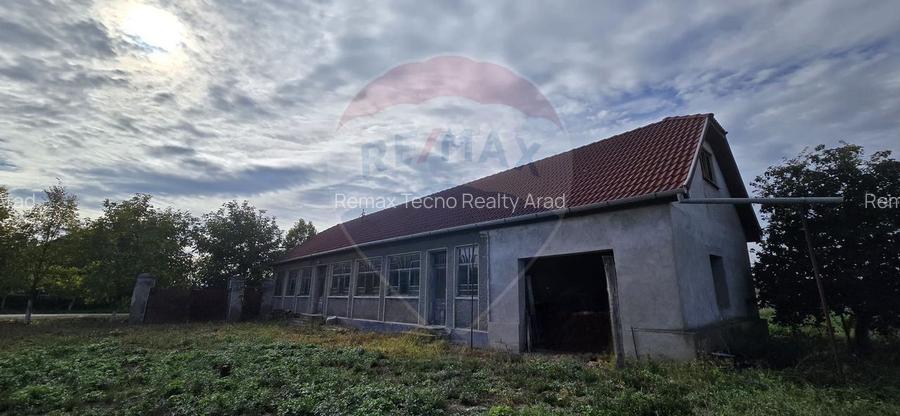 Teren si casă cu teren generos în Socodor - 21