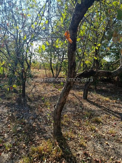 Casă de vânzare în Bilciurești, teren 1171mp, zonă liniștită, ideală pentru fami - 12