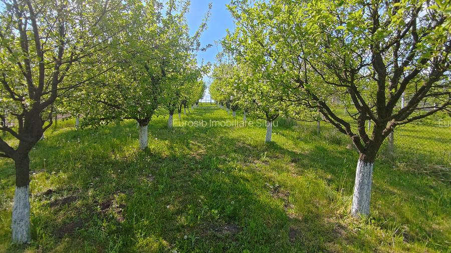 Teren intravilan 1000 mp in Sibiu Daia Noua - 6
