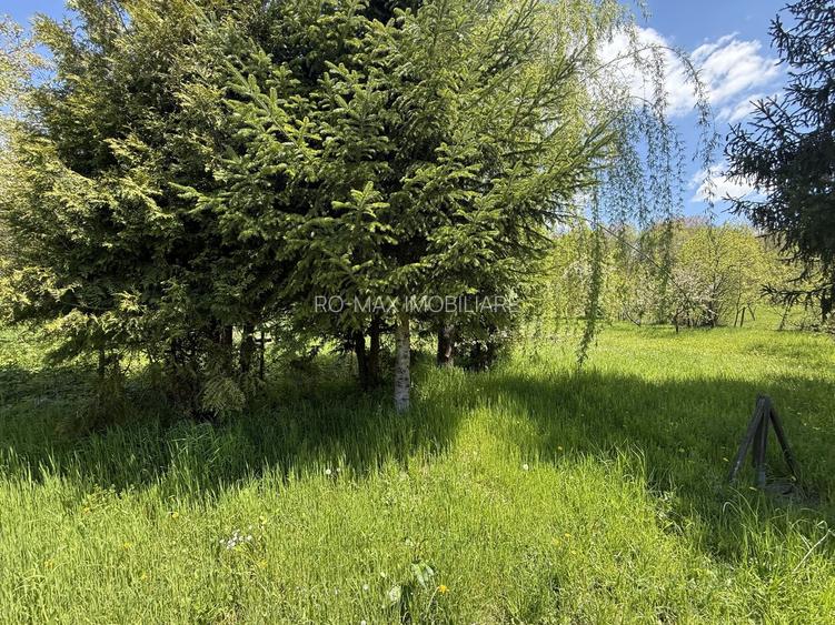 Casă parter+mansarda 100mp + beci, cu teren intravilan 1400 mp - 23