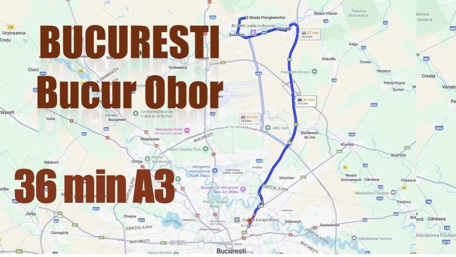 Vila pentru cei care vor spațiu, natură și acces rapid către București - 45