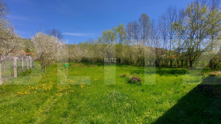 Casă autentică  3.100 mp teren, livadă si parau I Lisnau - 4