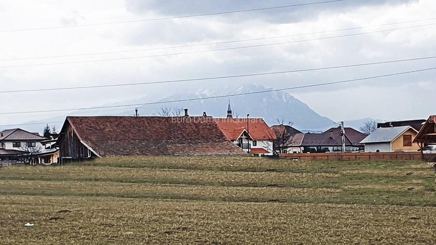 Cristian-zona str Eroilor front 34m, intravilan, 730mp - 5