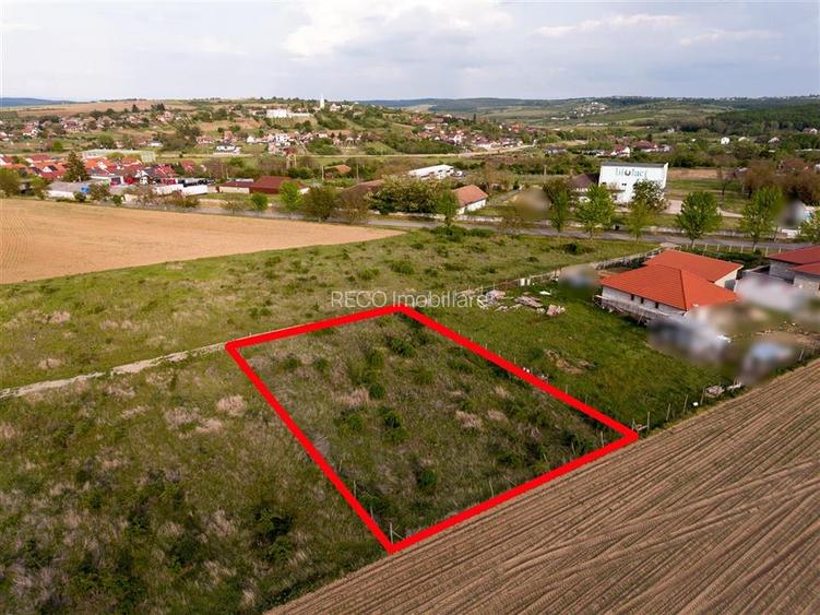 RECO Teren de vanzare Paleu 1025mp - 2