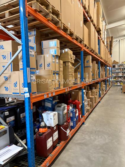 Park Industrial nou cu acces facil din Soseaua de Centura - Chiajna/Chitila - 4