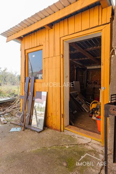 Casă spațioasă cu potențial de renovare și personalizare, în Viișoara - 18