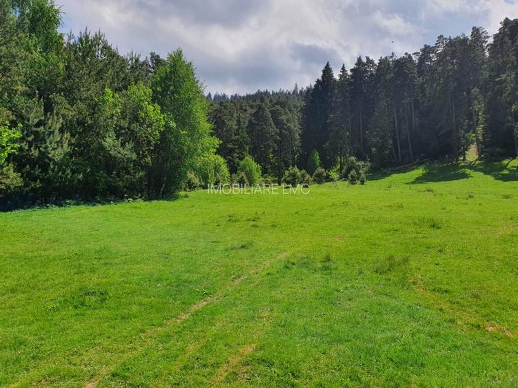 TEREN DE VANZARE INTRAVILAN - 5