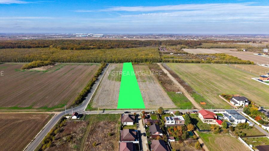 Dragomiresti Deal teren 6700 mp, padurea Ileana, utilitati, asfalt - 2