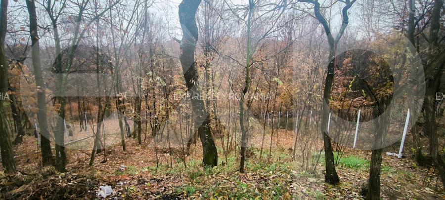 Casă modernă, gata de mutare, la 12 km de Pitești – Babana, Slătioarele - 15