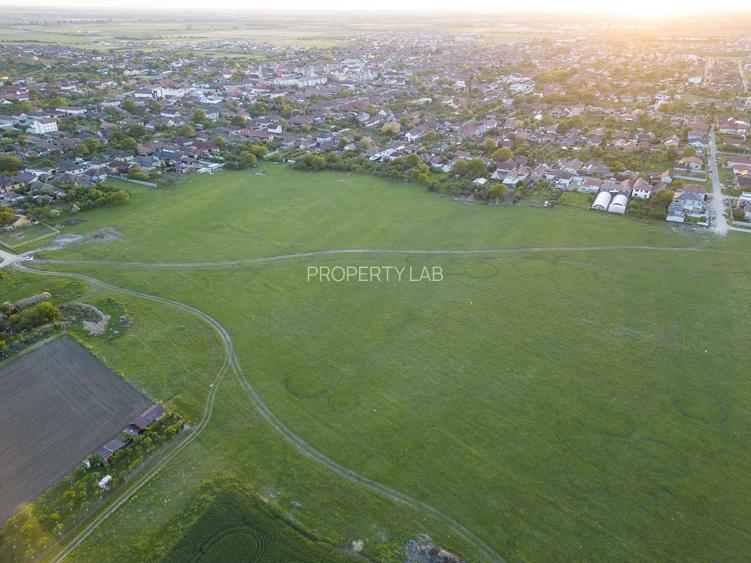 Teren intravilan 5,44 ha, Vladimirescu - 7