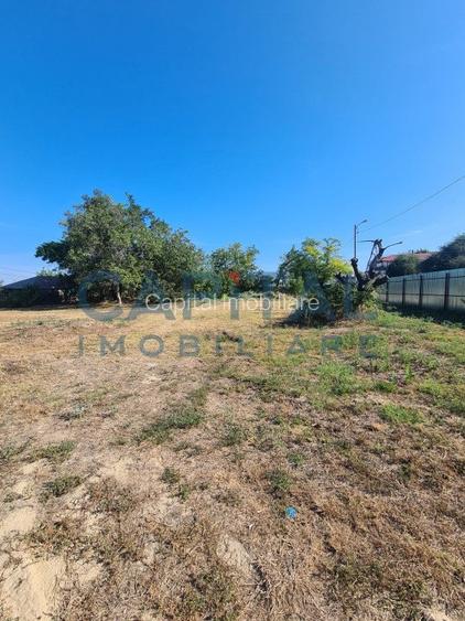 Teren Intravilan 6017 mp pentru Constructii Case Individuale, Duplexuri, Blocuri - 7