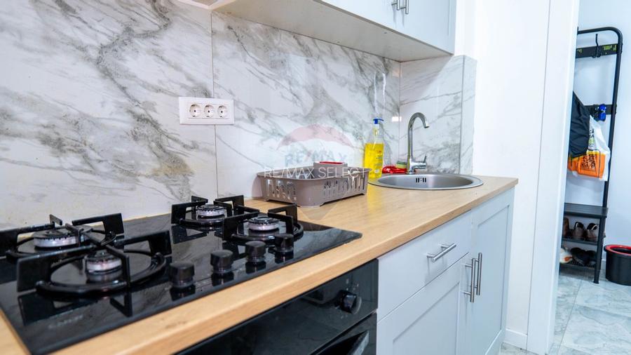 Vanzare apartament 2 camere, parter inalt, cu gradina in Dobroesti - 10