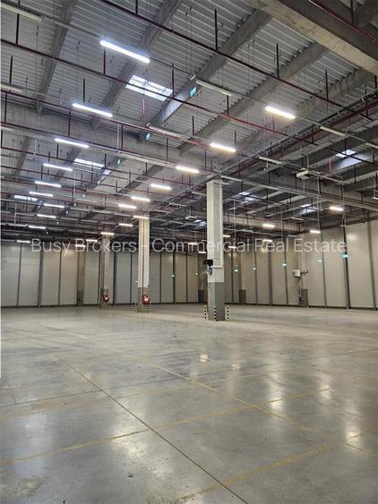 Spatii Industriale - 10000 mp - Logistica - Depozitare - Productie - 2