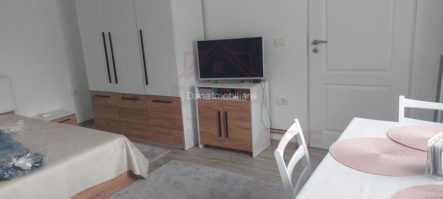 CASĂ DE VÂNZARE ÎN RUSCA MONTANĂ\JUD. CS - 13