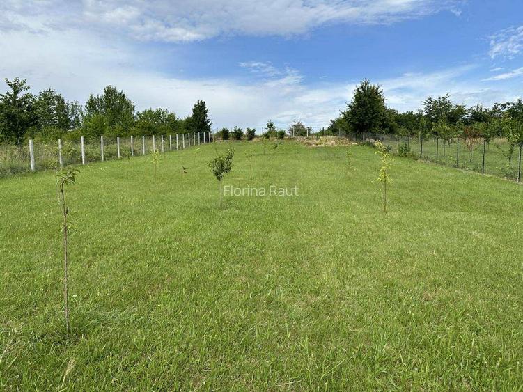 Vând 5000m pătrați teren,intravilan și extravilan.  - 8