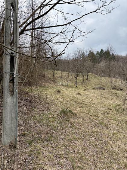 Teren Salatrucel Valcea intravilan cu curent trifazat 380V, faneata si padure - 3