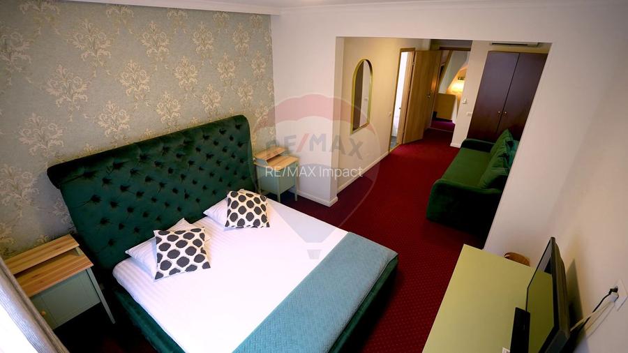 Hotel 12 camere si Cantina / Restaurant Calea Calarasilor Bucuresti - 11