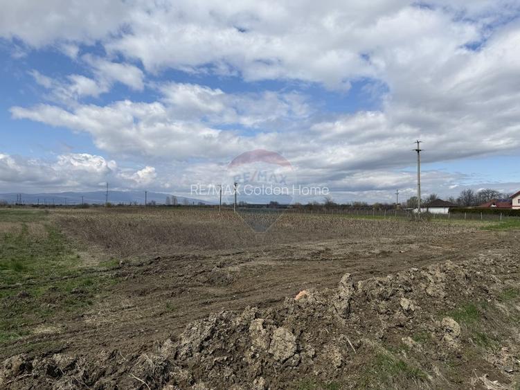 Teren 9,431mp Bizighesti / DJ 205E - 6