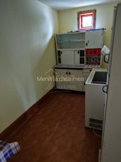 VIla Teisani si 11250 mp teren - 13