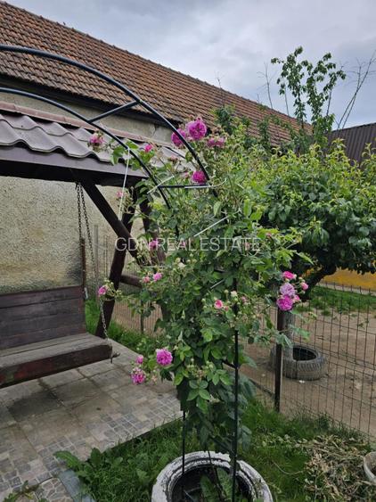 Vand casa 3 camere ARIUSD - 17