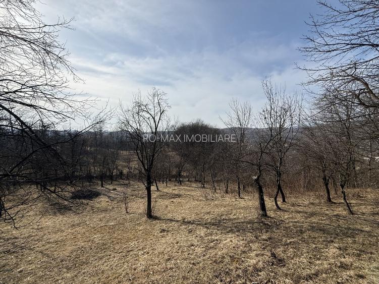 Teren intravilan 2788 mp deschidere 55 ml cu vedere panoramica ! - 13