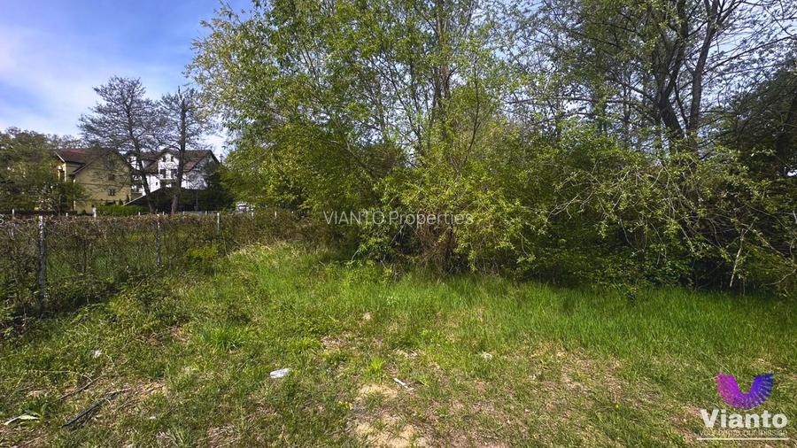 TEREN INTRAVILAN  PREMIUM 617MP | PADUREA DUMBRAVA - 3