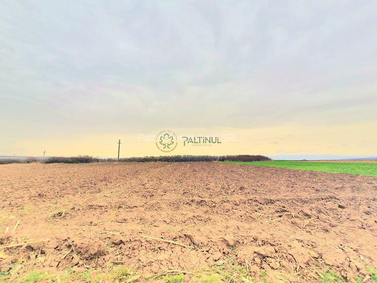 1174 mp în Ocna Sibiului - Teren Intravilan de Vis - 3