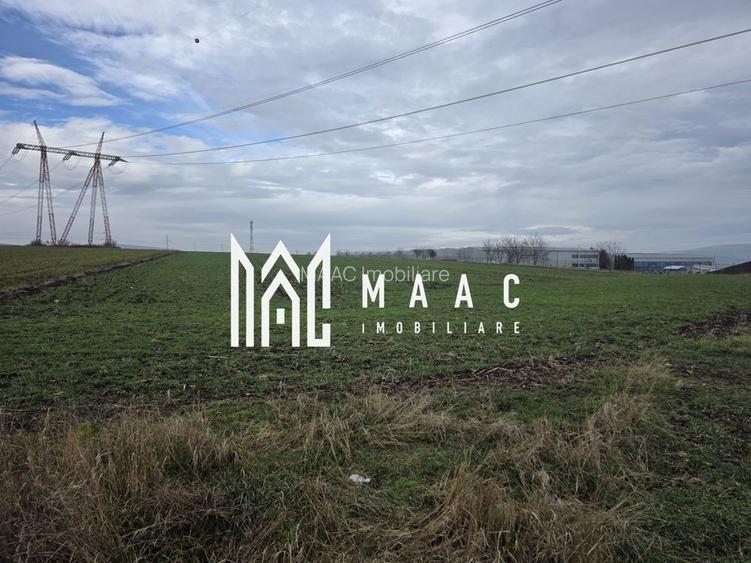 Teren intravilan | 29.300MP | Miercurea Sibiului - 3