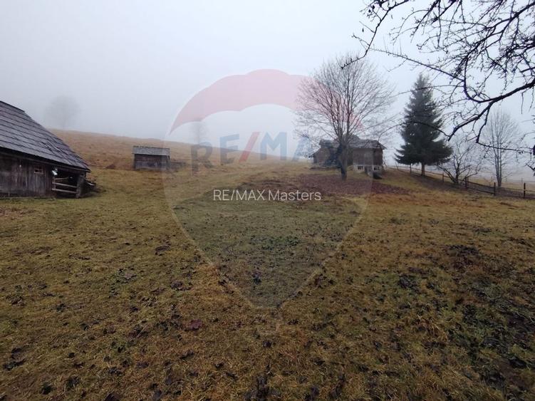 Teren INTRAVILAN 23.238m.p. Dorna-Arini / Cozănești - 9