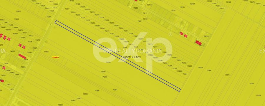 Teren 5.040mp Berceni - Vidra - 2