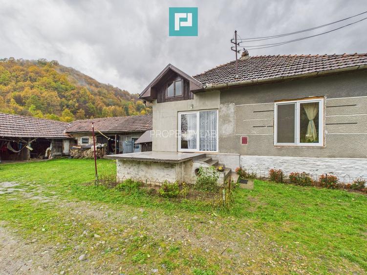 Casă renovată în localitatea Lazuri, Arad - 15