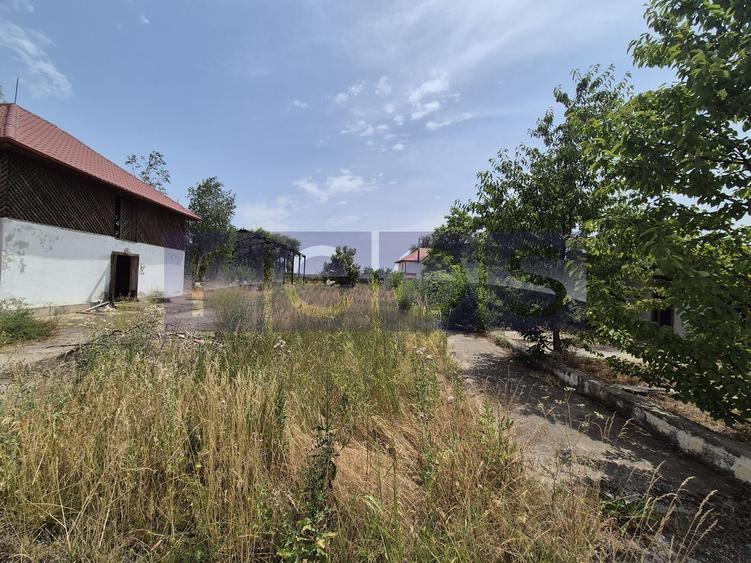 De vanzare teren industrial in Calarasi/Belciugatele - 11