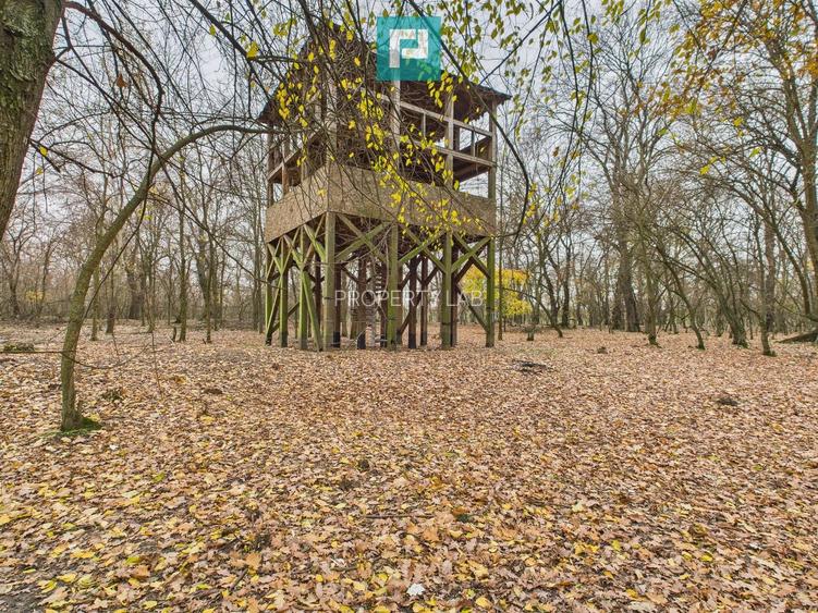 Teren pe malul Muresului- oportunitati multiple - 21