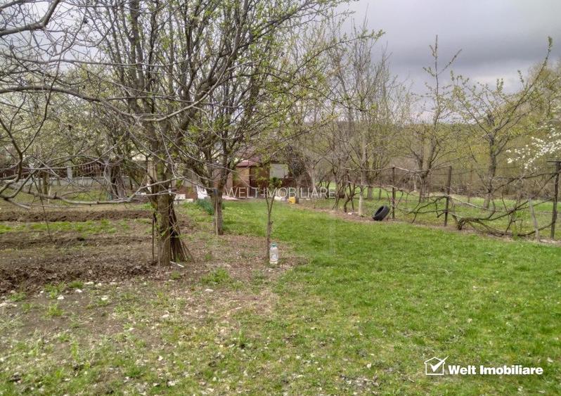 Teren constructii , drum de acces, Salicea - 3